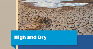 high and dry world bank